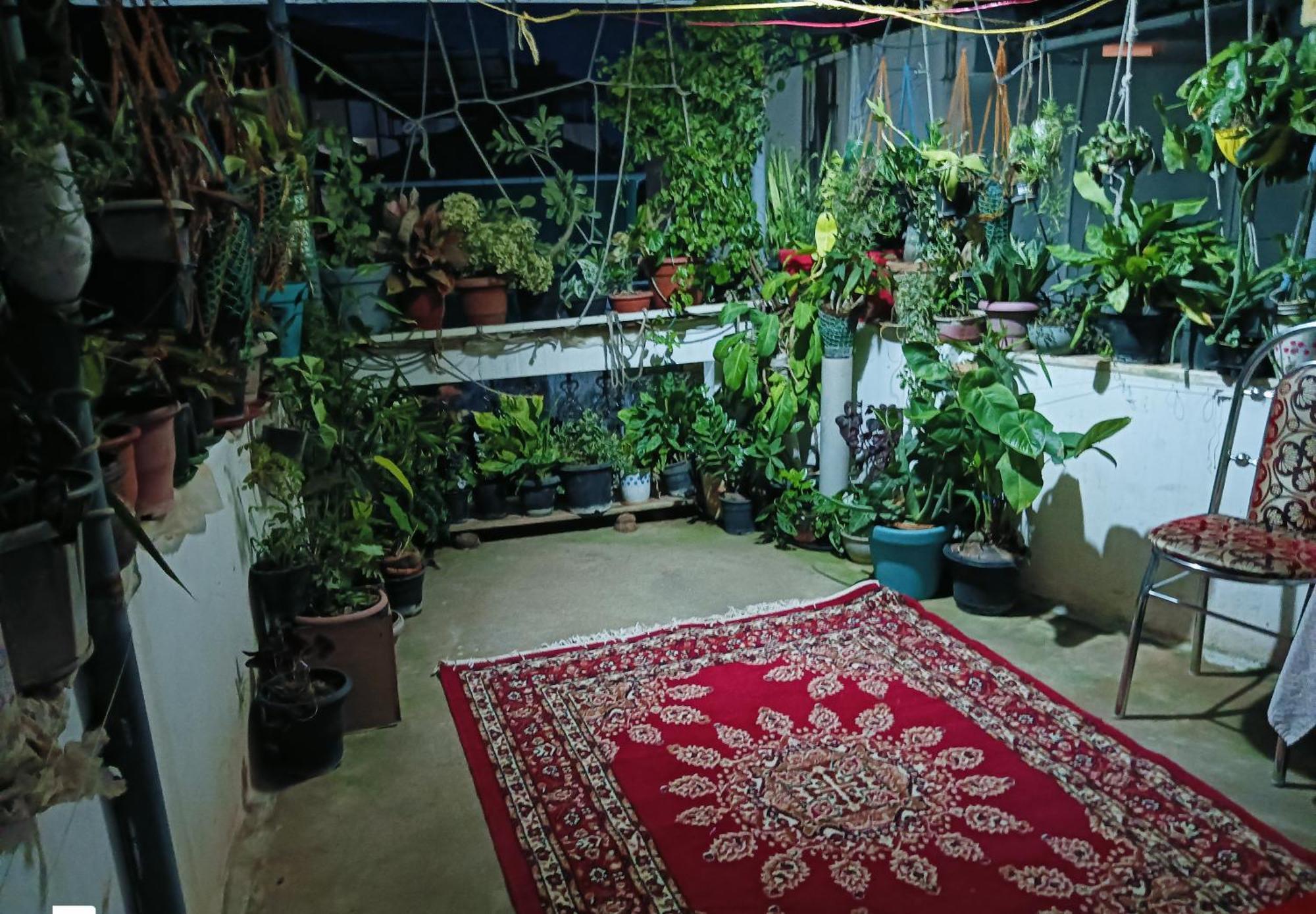 Dion Homestay Kochi Exteriör bild